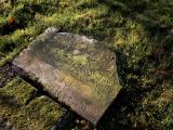 image of grave number 800100